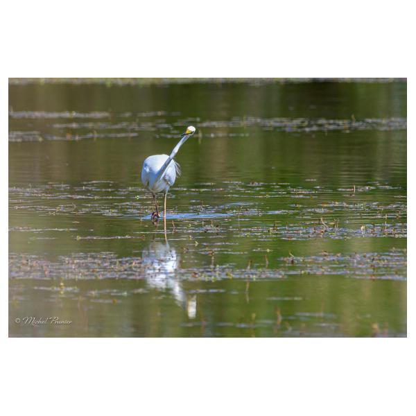 PHOTO84, CLUB, 84 , LUBERON